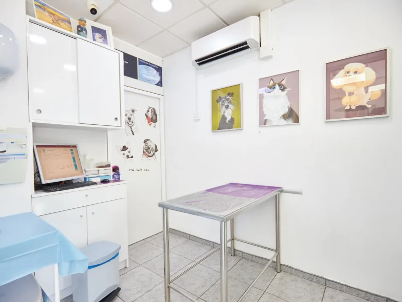 Sala consulta en Europa Centro Veterinario de Badalona