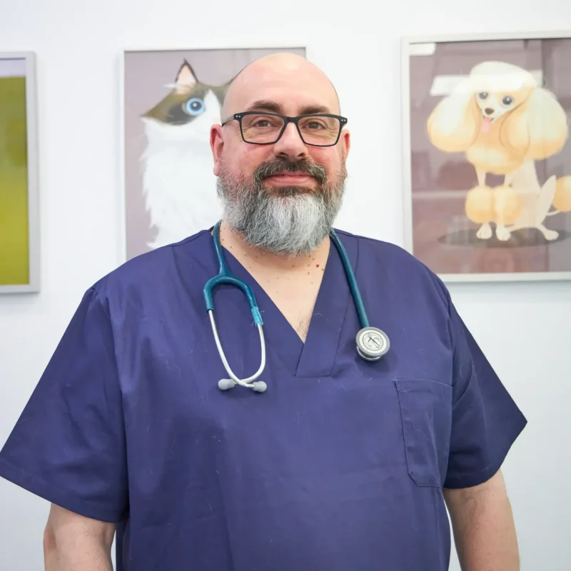 Fernando Arroyo Fernando, veterinario de Europa Centro Veterinario de Badalona