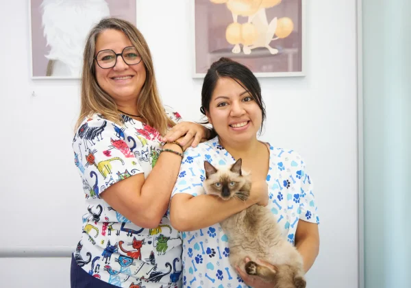 Eli y Stephany Eli y Stephany con gato en Europa Centro Veterinario de Badalona