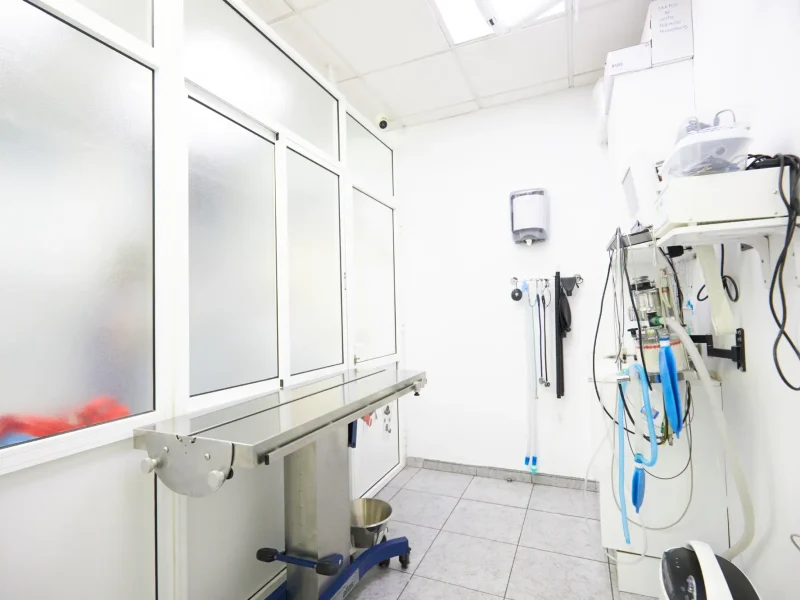 Sala de Quirófano en Europa Centro Veterinario de Badalona