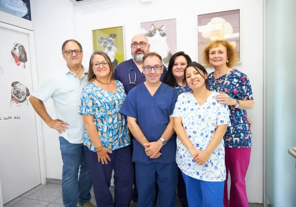 Equipo de de Europa Centro Veterinario de Badalona Foto de equipo de Europa Centro Veterinario de Badalona