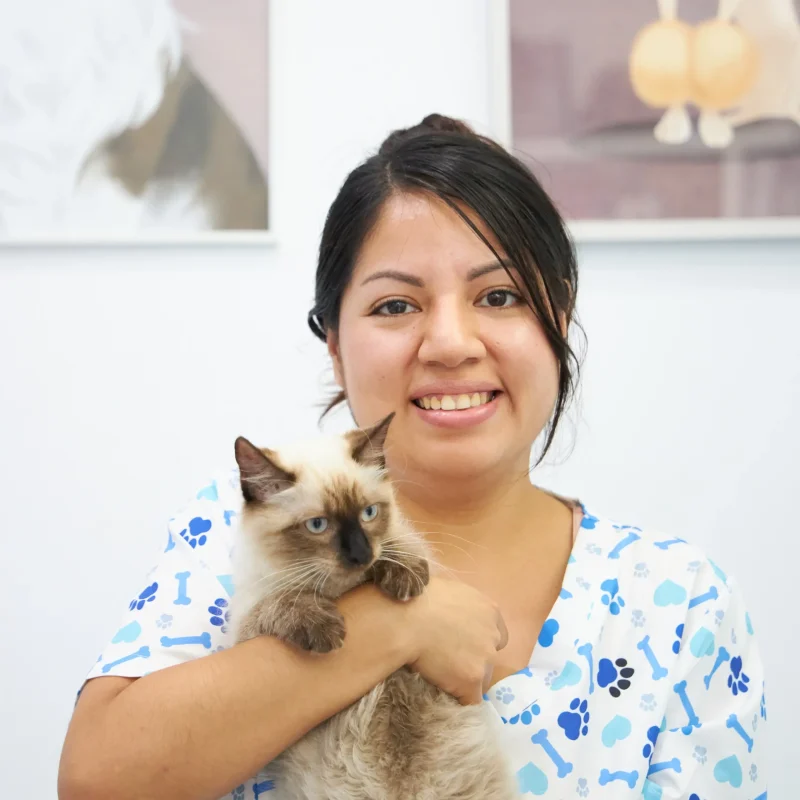 Stephany Lorenzo Stephany, ATV de Europa Centro Veterinario de Badalona